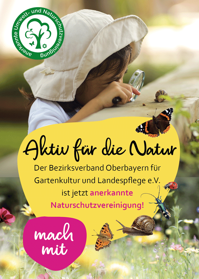 Print BV Flyer